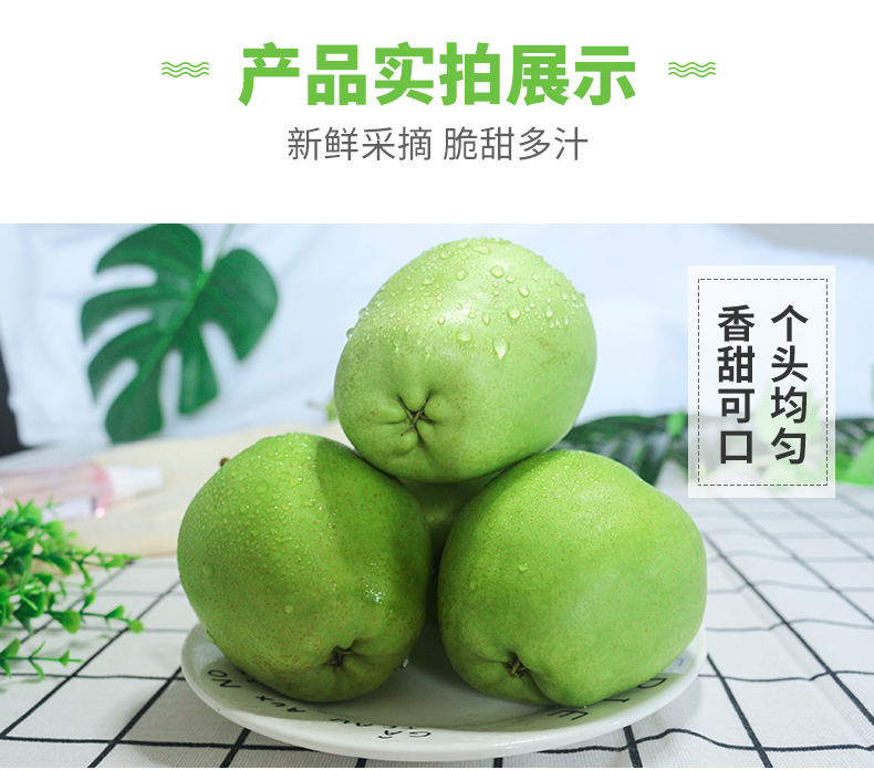 产品实拍展示=新鲜釆摘脆甜多汁香个甜头可均‖百匀-推好价 | 品质生活 精选好价