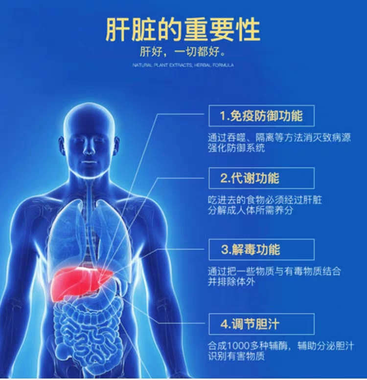 【乐忆保】菊花决明子养肝茶