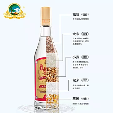 古井罍酒42度500ml*2瓶纯粮精酿白酒[60元优惠券]-寻折猪