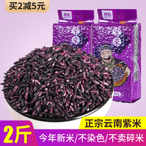 Yunnan Mojiang purple rice new rice 500gx2 bag purple glutinous rice black rice blood glutinous rice Puer specialty rice grains