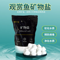 RAME fish tank salt sterilization ornamental fish special salt cold water fish disinfection aquarium yellow powder salt mineral salt tropical fish