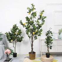 Thai ring simulation lemon tree Laurel large living room green plant potted bonsai ins pastoral interior decoration ornaments