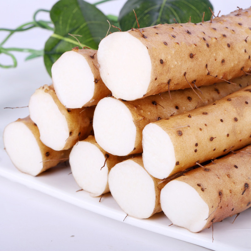 现挖现发小白嘴山药5斤装