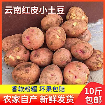 【5斤装】新鲜红皮黄心沙地土豆[5元优惠券]-寻折猪