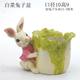 Cute cartoon rabbit mascot bedroom home furnishings key sundries succulent flower pot gardening ornaments Cute cartoon rabbit mascot bedroom home furnishings key sundries succulent flower pot gardening ornaments