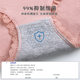 Japanese female underwear antibacterial cotton 100% cotton crotch small waist Ms. lace briefs breathable large size head Japanese female underwear antibacterial cotton 100% cotton crotch small waist Ms. lace briefs breathable large size head