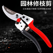 Sagawa Tian Japan imported steel pruning pruning horticultural pruning fruit tree and labor-saving branch scissors SK5 steel branch scissors