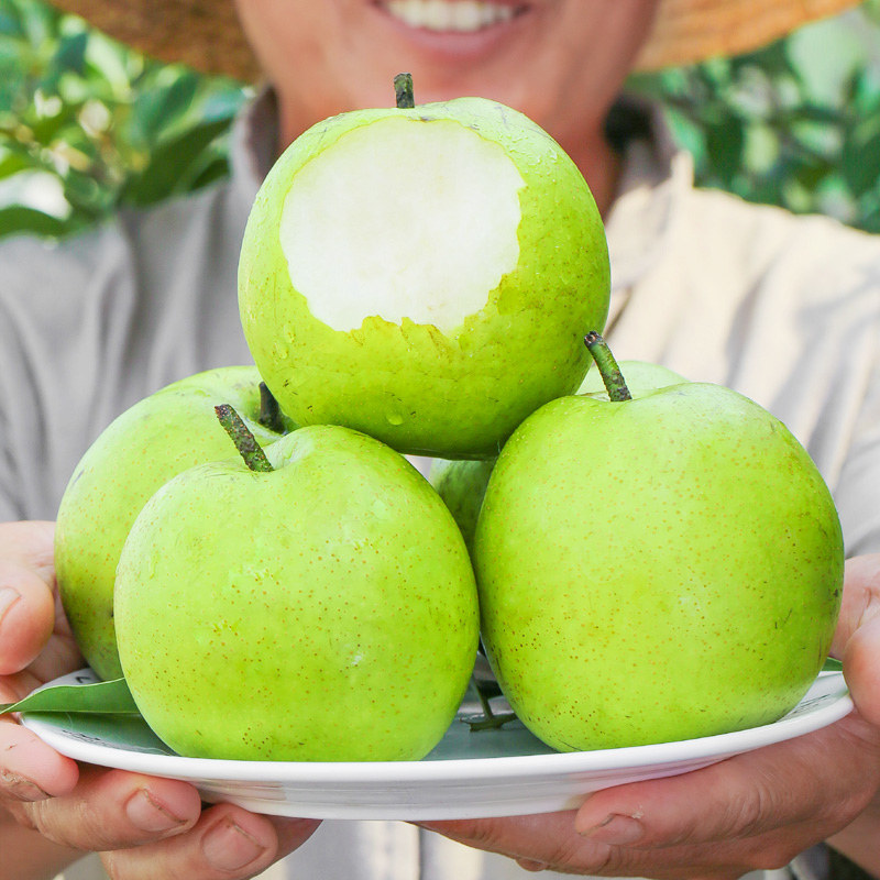 河北皇冠梨青皮脆梨甜酥现摘大青梨孕妇水果宝贝辅食5斤包邮