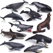 Soft glue super large soft glue simulation marine life seabed animal model childrens toy great white shark shark dolphin