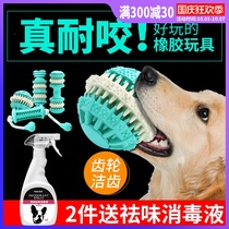 Dog toy ball resistant pet grinding teeth bone Teddy golden retriever small dog big dog dog bite Glue supplies