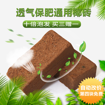 Sterile coconut brick Household flower cultivation Nutrient soil Fleshy orchid soilless cultivation Coconut bran Low salt vegetable soil Pet mat