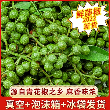 【农家现采】正宗四川新鲜花椒藤椒350g[6元优惠券]-寻折猪