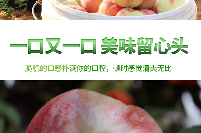 口又一口美味留心头脆脆的口感扑满你的口腔,顿时感觉清爽无比-推好价 | 品质生活 精选好价