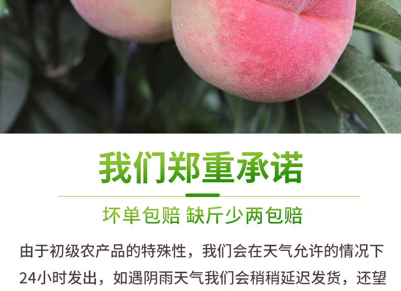 我们郑重承诺坏单包赔缺斤少两包赔由于初级农产品的特殊性,我们会在天气允许的情况下24小时发出,如遇阴雨天气我们会稍稍延迟发货,还望-推好价 | 品质生活 精选好价