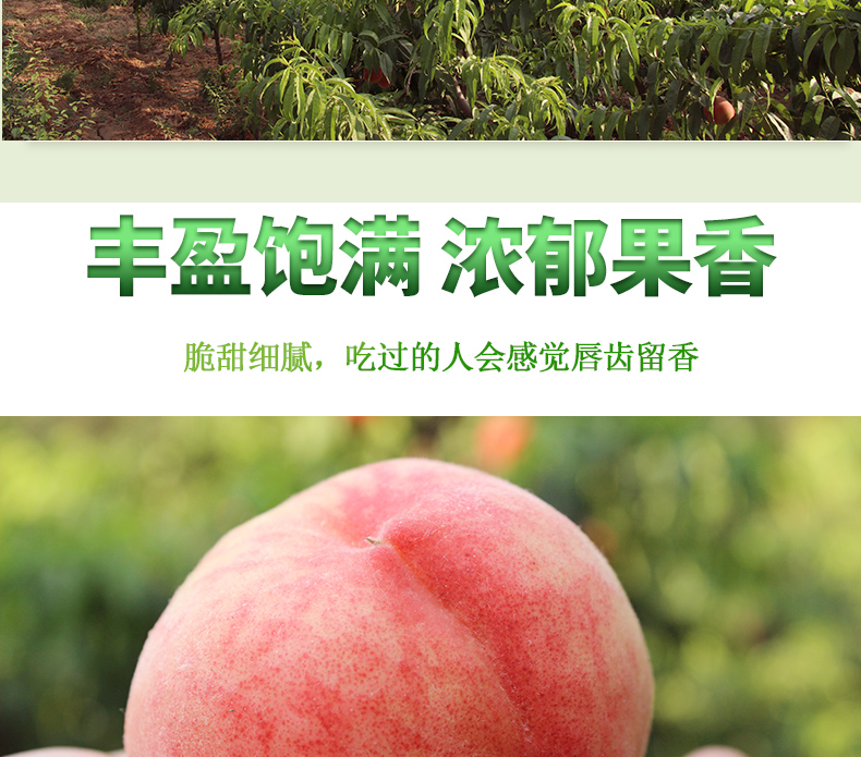 宇盈饱满浓部果香脆甜细腻,吃过的人会感觉唇齿留香-推好价 | 品质生活 精选好价