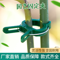 Garden clamps plant branches fixed gardener flowerbutterfly orchid bracket plastic gardening tool clip
