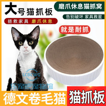 German curly cat special round large number of cat toy kittens with cat grabbing plate mill claw kittens anti-grinders