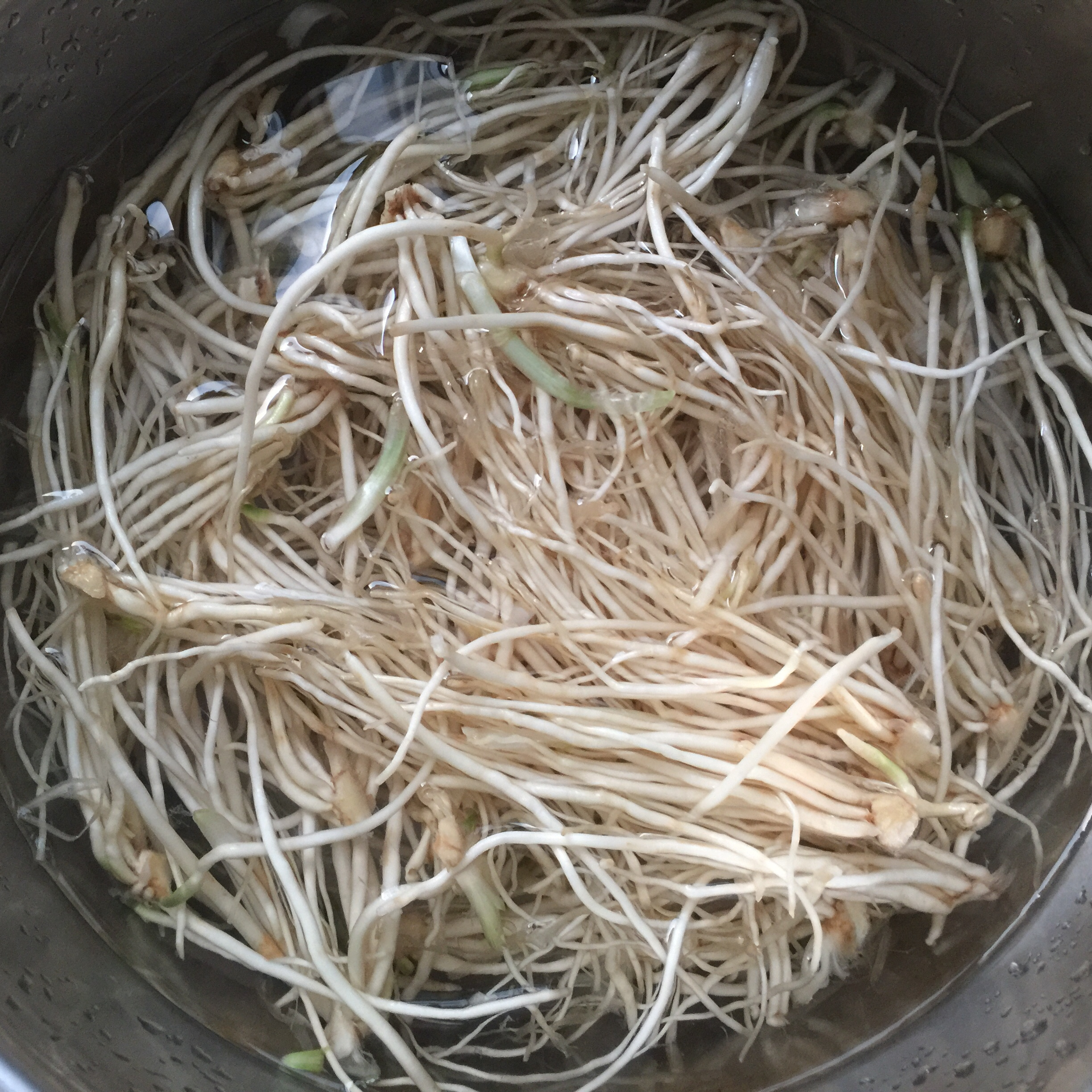 苤菜根撇菜根 舂菜材料云南新鲜蔬菜月子良菜可腌制炖汤大叶韭菜