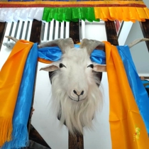 Mongolian handicraft goats head pendant large sheep corner decorations Inner Mongolia handicraft Mongolia bag supplies