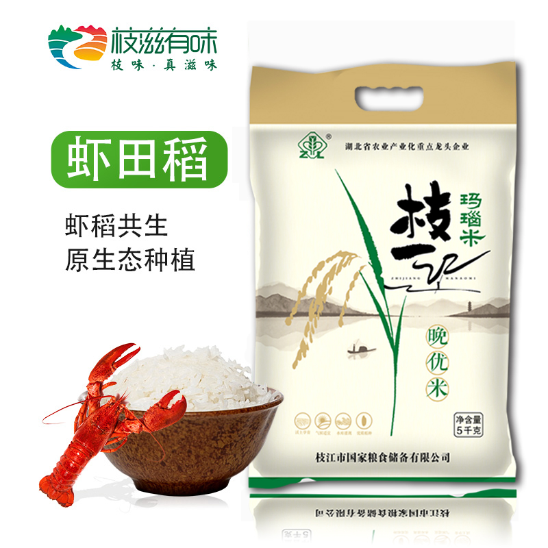 枝滋有味 2019長(zhǎng)粒香蝦田稻 晚優(yōu)米 10斤