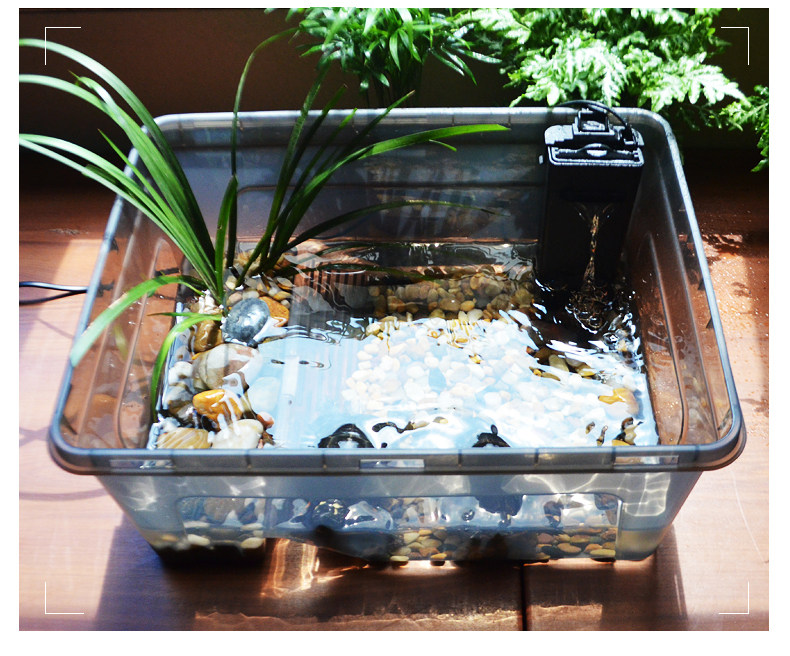 *温馨提示:套餐内乌龟缸默认发浅蟹灰色,也可自行下单留言缸,三种