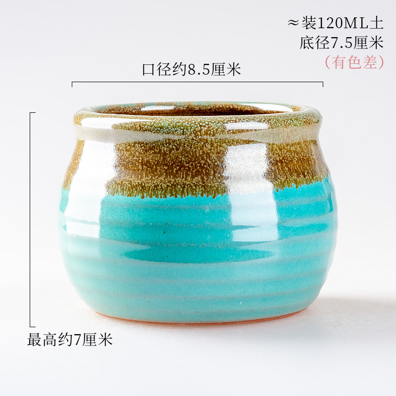 Meaty plant flower pot is more than meat flowerpot coarse pottery ceramic simple plastic new small green the plants in large move
