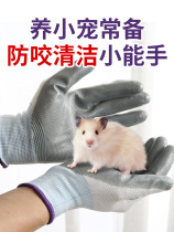 Pet squirrel hamster anti-bite gloves Children children students cute anti-gripper Apply products to catch hamster tools