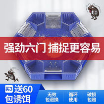 Home Cleaner Cockroach Depredators to catch Killer Gods Home Catch and Trap-Size Cockroach-House Box