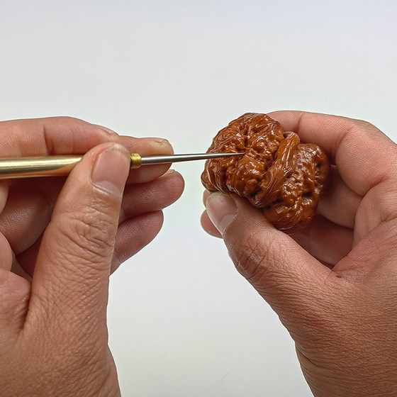 Wenwan Walnut 버클 스틸 바늘 녹색 피부 호두 디아 마나 바 보디 씨앗 세척 바늘 불순물 도구 편리하고 높은 경도 Wenwan Walnut 버클 스틸 바늘 녹색 피부 호두 디아 마나 바 보디 씨앗 세척 바늘 불순물 도구 편리하고 높은 경도