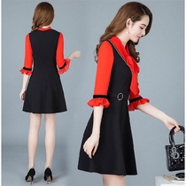 Large size dress spring new Korean slim slim long fake two-piece skirt