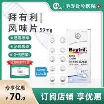 (10 pcs) Bayer Bayrynrofloxacin 50mg pet cat dog dog antibiotic anti-inflammatory urinary tract infection