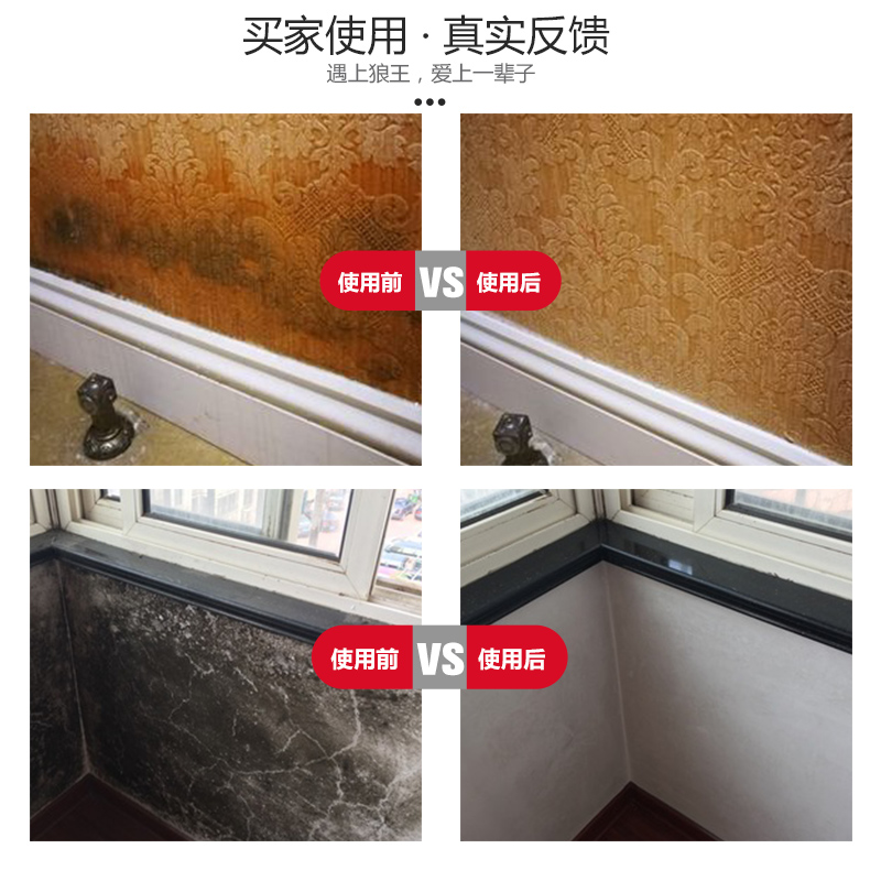 wolf king white wall in addition to mildew household wall paper wall mold removal artifact to remove mildew and mildew mildew cleaning and mildewing agent