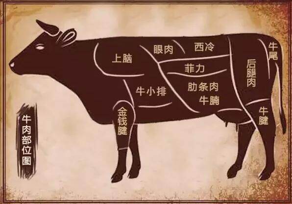 装腔指南丨教你如何挑选一块好牛排