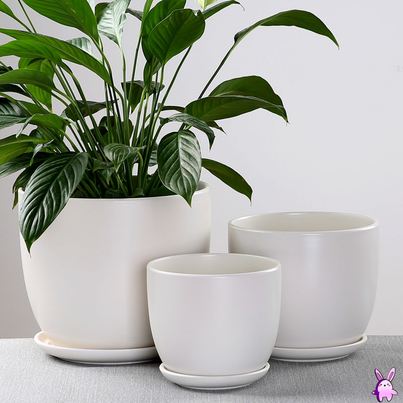 Xi ou buy flowerpot ceramic sale household size extra large tray with simple small flowerpot more than other meat