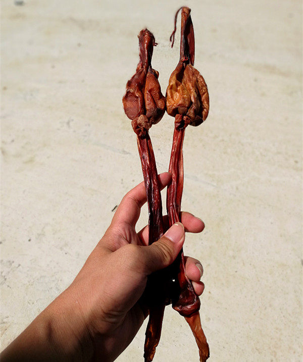 超大耗牛鞭鹿茸耗牛鞭鹿鞭 海宝泡酒材料强身健体肾滋补保健 包邮