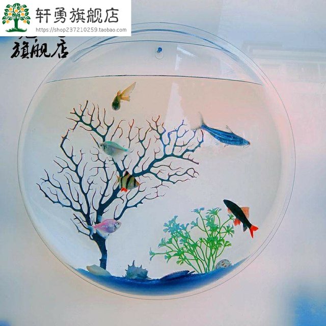 . Hydroponics green radish plants home gardening acrylic wall stickers flower vase water for vegetable gardening and simple pots . Hydroponics green radish plants home gardening acrylic wall stickers flower vase water for vegetable gardening and simple pots