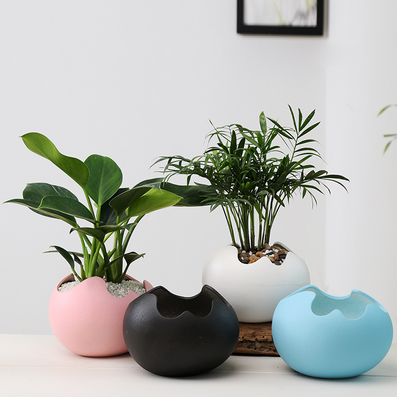 Contracted and creative move other copper grass green plant hydroponic flower pot fleshy retro desktop water flowers exchanger with the ceramics basin