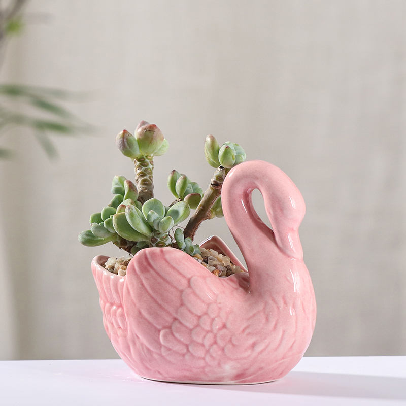 Flowerpot ceramic small express it in the cartoon, fleshy special offer a clearance of creative move desktop the plants and animals take place