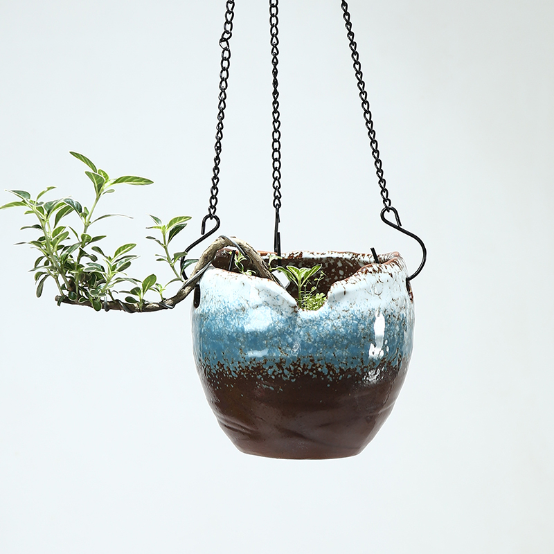 Creative hanging hanging POTS of meat the plants more lover tears ivy money plant sitting room balcony hanging pot ceramics