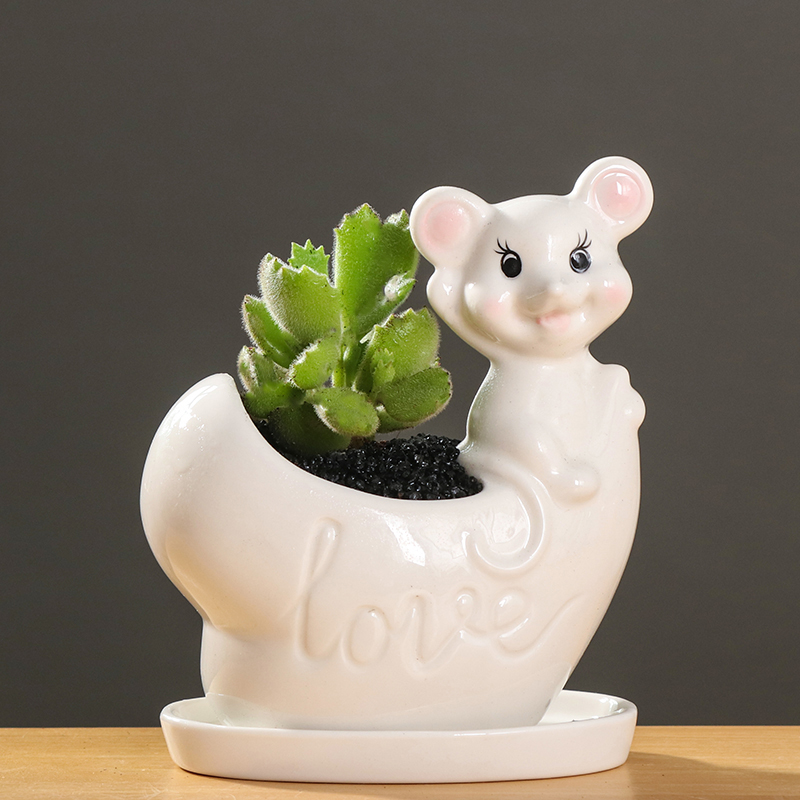 Flowerpot ceramic small express it in the cartoon, fleshy special offer a clearance of creative move desktop the plants and animals take place