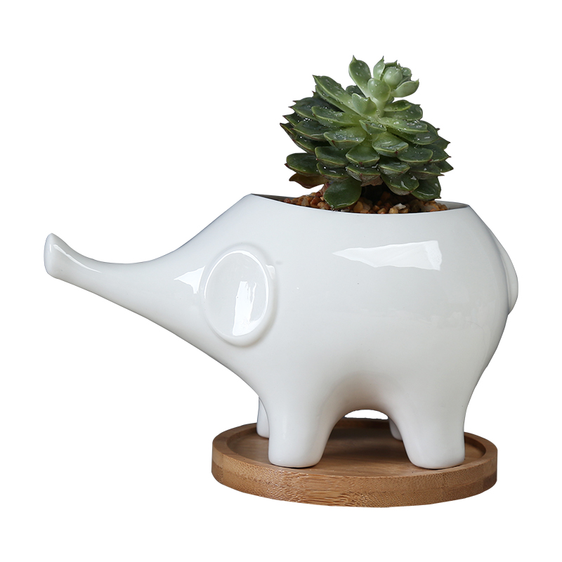 White cartoon fleshy flowerpot ceramic move to the desktop decorative the plants and animals elephants spend with tray