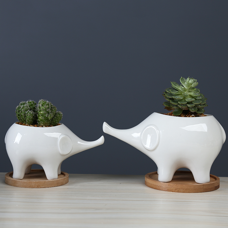 White cartoon fleshy flowerpot ceramic move to the desktop decorative the plants and animals elephants spend with tray