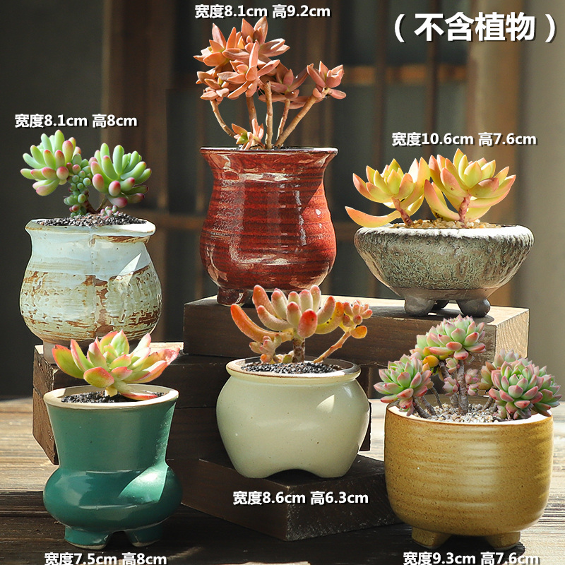 The Six a fleshy flowerpot retro indoor coarse pottery breathable ceramic creative move flesh large flower pot the plants