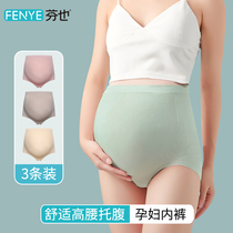 Pregnant women with high-waist underwear pure cotton early pregnancy early and mid-late maternal general shorts head large size Moder