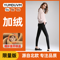 Pregnancy DO818 magic pants winter wear large size pants autumn and winter plus velvet padded leggings