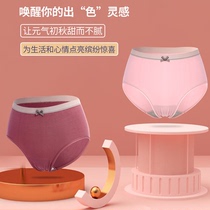 Quincorra Briefs Female Summer Thin with No Marks Lace Middle Waist Modale Girl Triangle Pants breathable Bacteriostatic Crotch