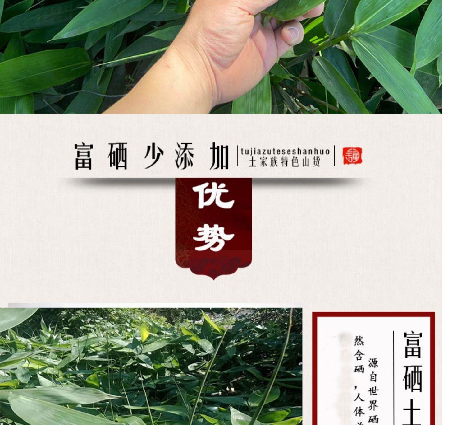 【送绳 教程】新鲜干粽叶160张