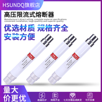 XRNT1-12 3 15A-25-40A high-voltage current-limiting fuse XRNT-10KV high-voltage current-limiting fuse 51*360