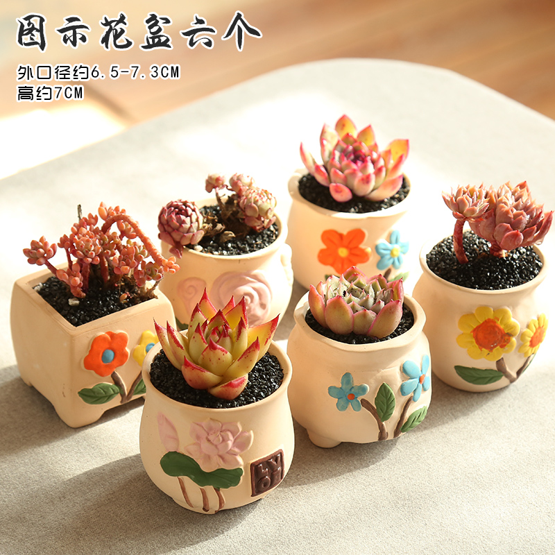 End fleshy flowerpot ceramic biscuit firing breathable small number of special offer a clearance package mail pastoral flesh POTS, coloured drawing or pattern