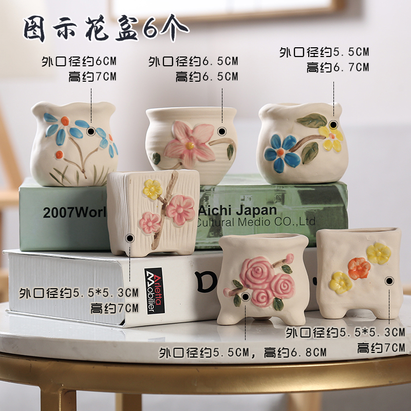 Period more breathable special offer a clearance meat meat meat flowerpot ceramic biscuit firing coloured drawing or pattern potted small creative contracted the desktop